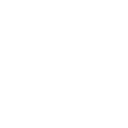 security guards houston icon
