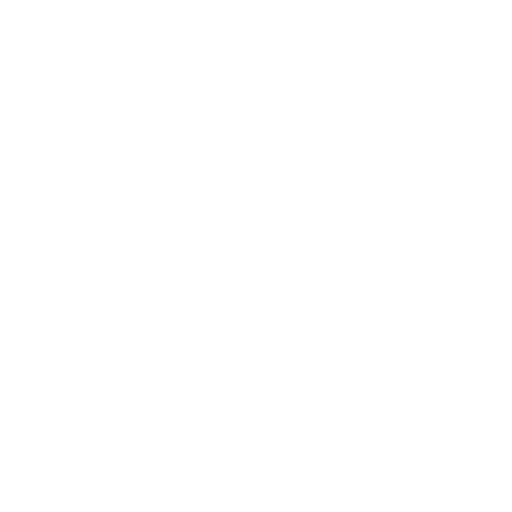 Houston security guard company