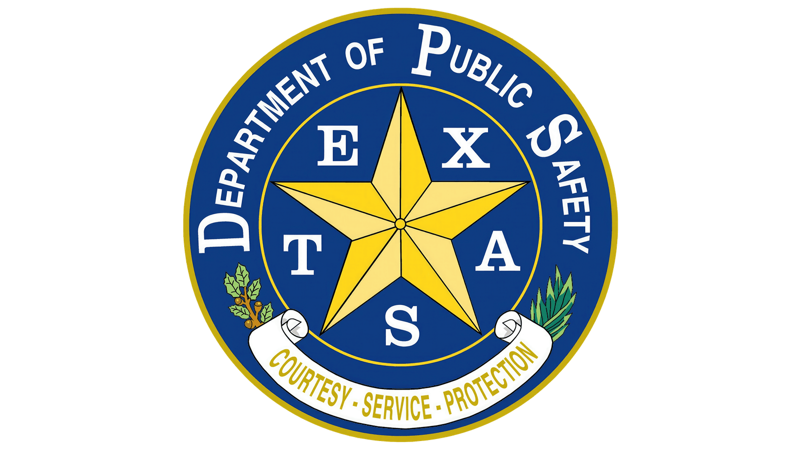 Texas DPS Licensed